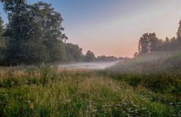 Evening fog / ***