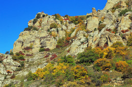 Autumn in the Valley of Ghosts / ***