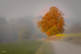 Herbst / Klinik - schwarzach