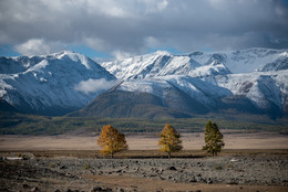 Autumn Altai / ***