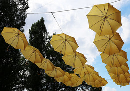 Umbrellas / ***