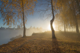 gold autumn / ***