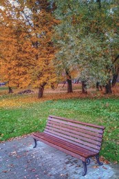 Bench in the park / ***