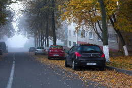 in the autumn mist / ***