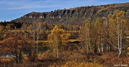 autumn landscape / ***
