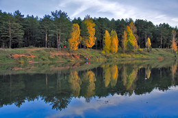 Autumn colors of nature. / ***