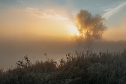 The smell of autumn / ***