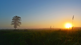 Meeting the sun / ***