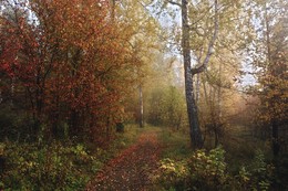Autumn trail. / ***