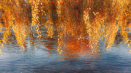 &nbsp; / """"""""""""""