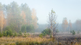 Hurried / ***