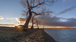 Morning on the lake / ***