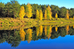 Autumn colors of nature. / ***