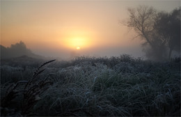 Meeting the dawn ... / ***