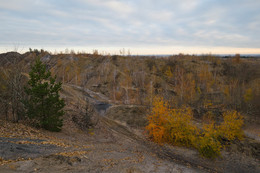 colors of autumn / ***