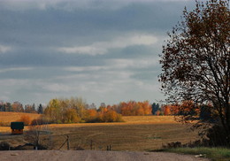 Autumn road / ***