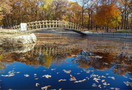 Bridge in autumn / _________
