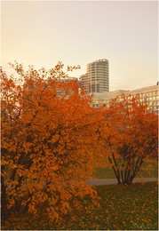 Autumn in the city / ***