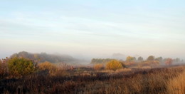 Autumn colors. / ***