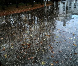 mirror autumn / ***