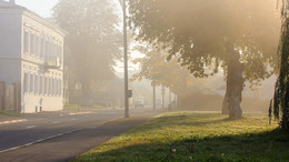in the autumn mist / ***