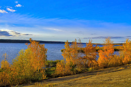 Autumn colors of nature. / ***