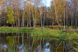 Autumn / ***