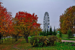 Autumn colors of nature. / ***