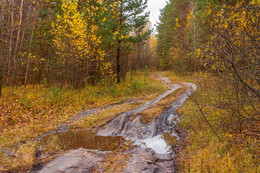 After the rain / ***