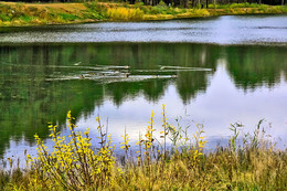 Autumn colors of nature. / ***