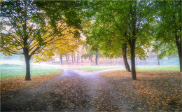 Morning in the park / ***