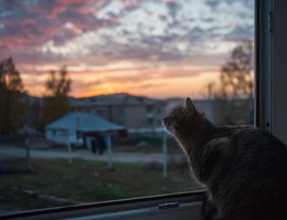 it was the evening / ***