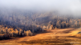 Autumn Altai / ***