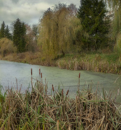 About autumn ... / ***