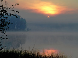 Misty morning .... / ***