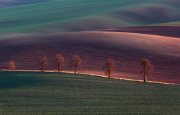 Moravian evening / Evening in Moravia