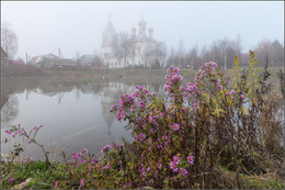 Autumn flowers / ***