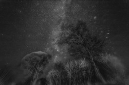 Into the sky / ***