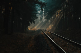 Through the gloom / ***