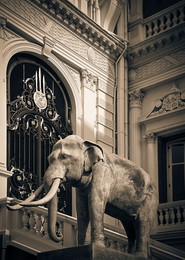 On the balcony / ...