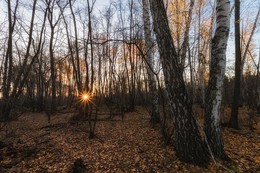 A Star Called Sun / ***