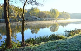 in the morning mist / ***