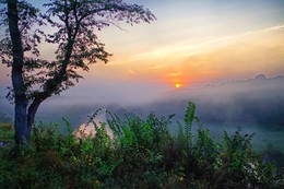 Foggy morning ... / ***