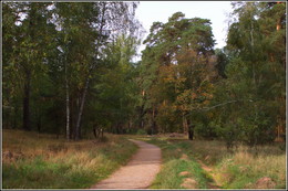 autumn motive / ***