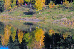 Autumn colors of nature. / ***