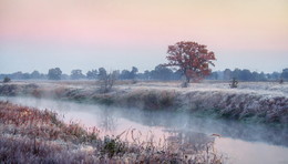 frosty dawn / ***