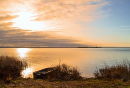Morning on the lake / ***