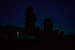 Moonlight night / ***