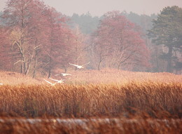 To take off! / ***