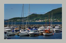 &nbsp; / music: IAN ANDERSON-A RAFT OF PENGUINS 
https://www.youtube.com/watch?v=CZiEvNLNADA